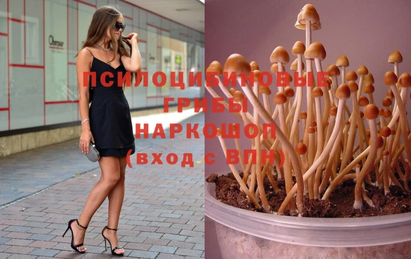 мефедрон мука Нязепетровск