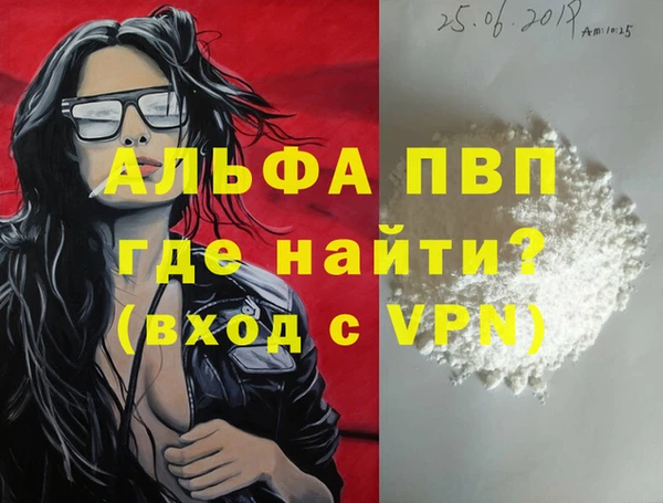 ПСИЛОЦИБИНОВЫЕ ГРИБЫ Осинники