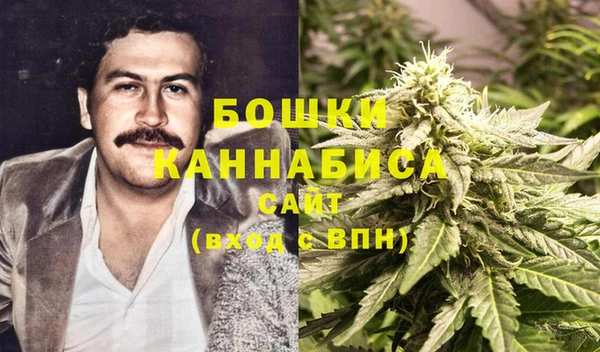 ПСИЛОЦИБИНОВЫЕ ГРИБЫ Осинники
